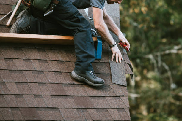 Best Storm Damage Roof Repair  in Montour Falls, NY